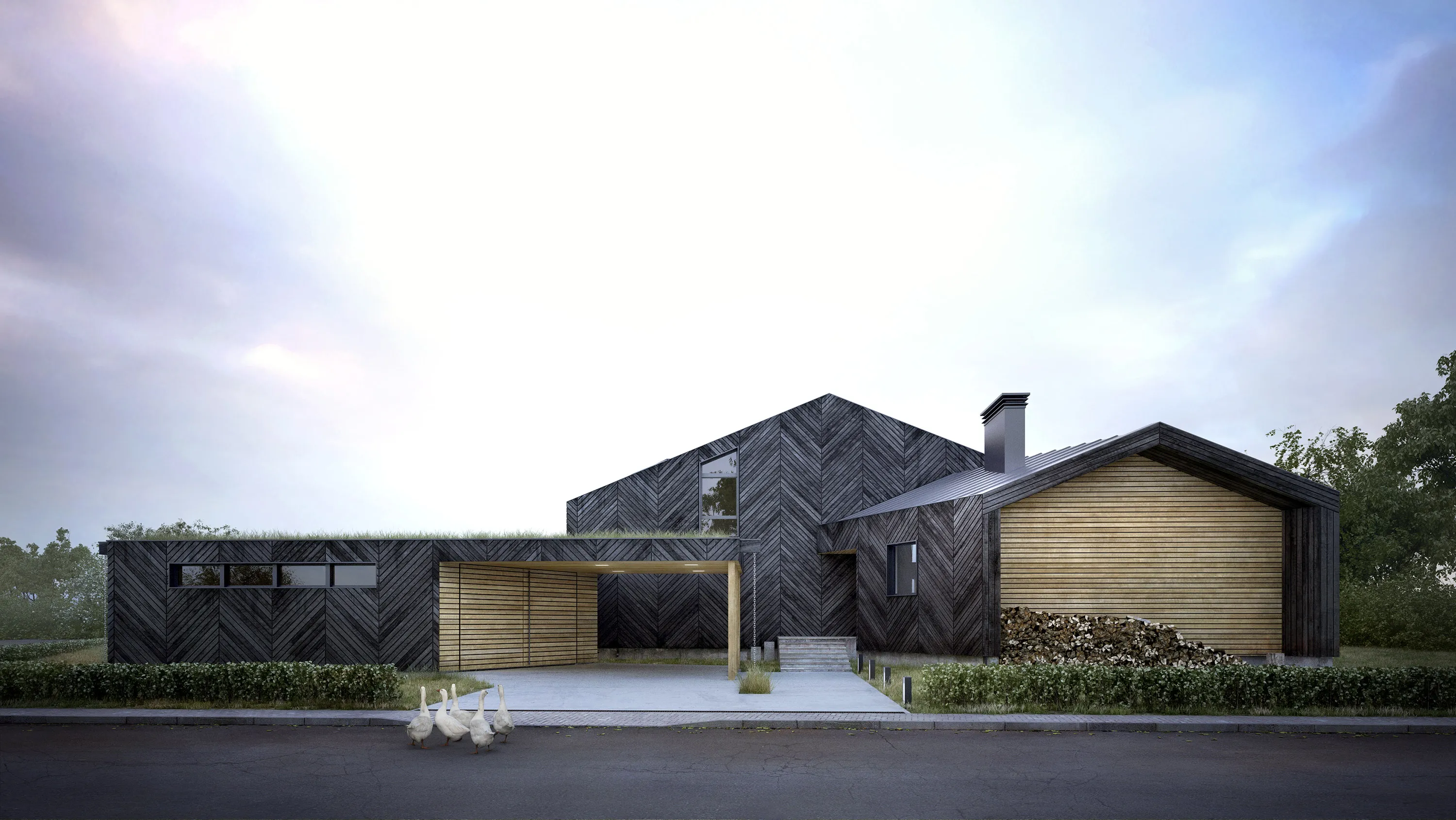 Street elevation of DL_house, with charred timber cladding and a green roof.