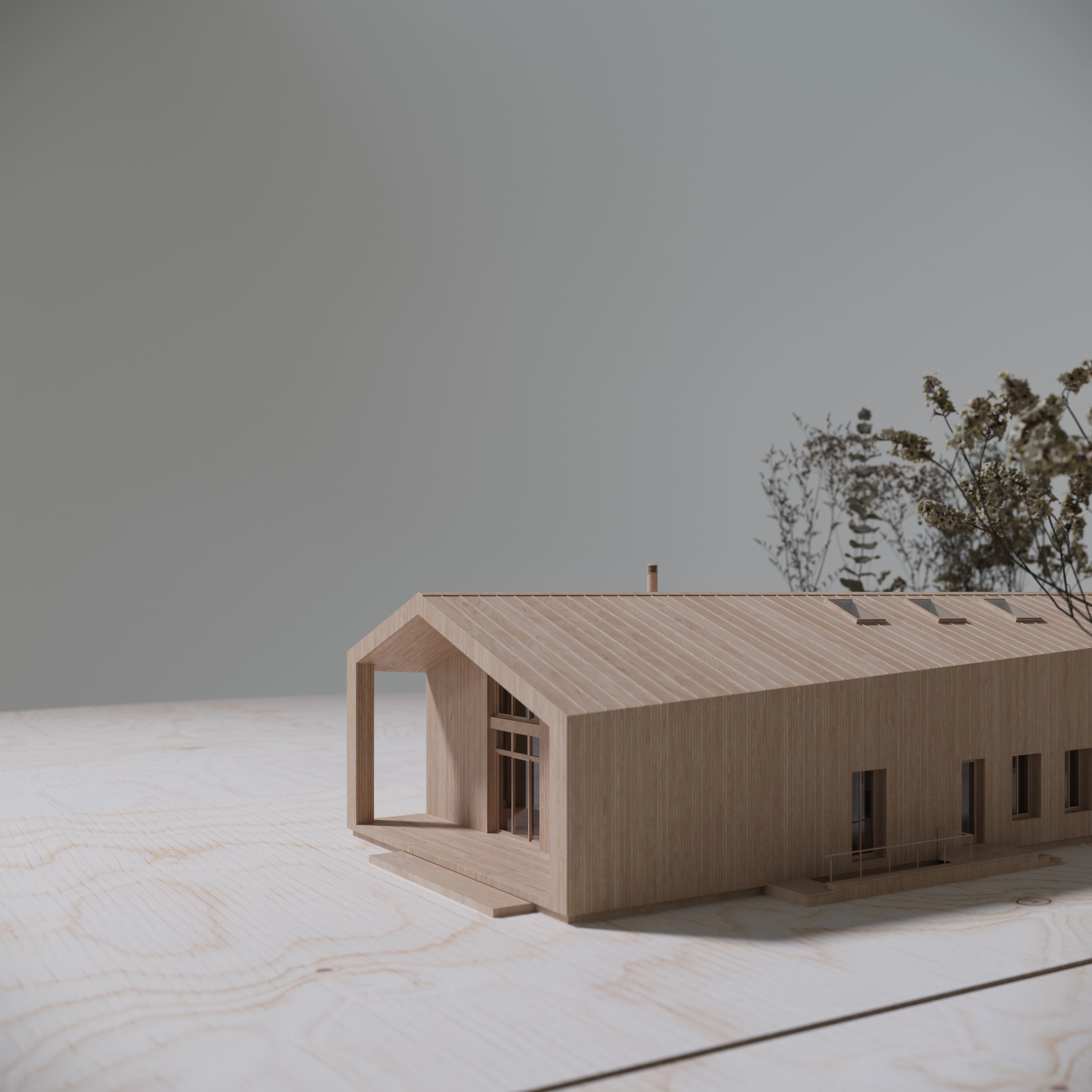 Physical model 4 for EG_house, Gomel region, Belarus.